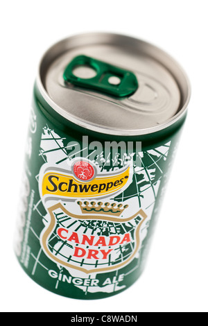 Schweppes Canada Dry Ginger ale können Stockfoto