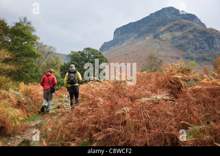 2 Männer gehen auf eine Wanderung durch Bracken fern im Herbst im Norden des Lake District National Park. Stonethwaite Borrowdale Cumbria England Großbritannien Stockfoto