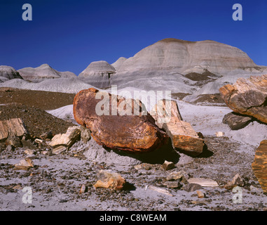 BB03931-03... ARIZONA - versteinerte Holz am Blue Mesa im Petrified Forest National Park. Stockfoto