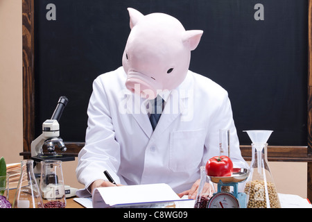 Pig Head Ernährungsberaterin Down auf Papier zu schreiben Stockfoto