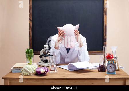 Pig Head Ernährungsberaterin mit Hand am Kopf Stockfoto