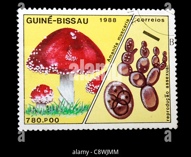 Eine Briefmarke von Guinea-Bissau in schwarzem Hintergrund Stockfoto