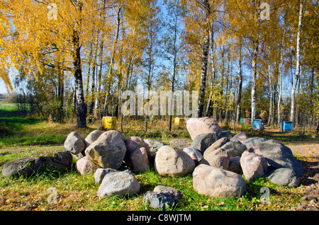 Natursteine im herbstlichen Park und Birken Stockfoto