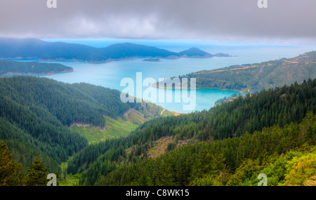 Vogelperspektive der Oyster Bay in der Nähe von Picton in Neuseeland Stockfoto