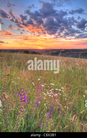 Heu Wiese bei Sonnenuntergang, mit blühenden Wiese Salbei (Salvia Pratensis). Auf dem Causse de Gramat, viel Region, Frankreich. Mai. Stockfoto