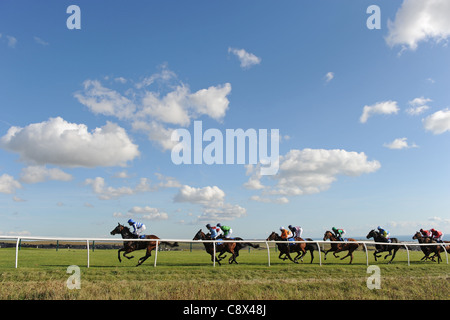 Rennpferde und Jockeys in Aktion während des Rennens Stockfoto