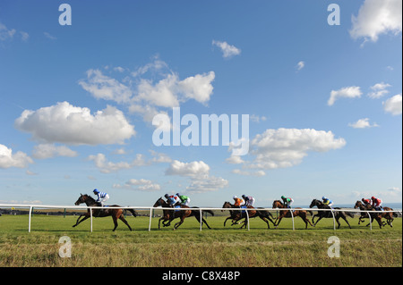 Rennpferde und Jockeys in Aktion während des Rennens Stockfoto