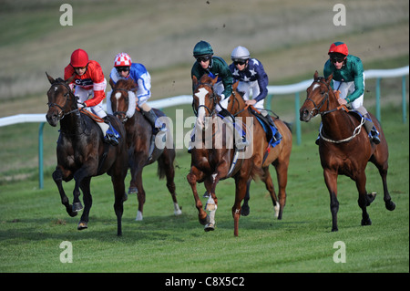 Rennpferde und Jockeys in Aktion während des Rennens Stockfoto