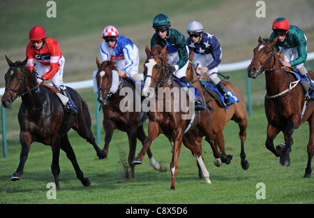 Rennpferde und Jockeys in Aktion während des Rennens Stockfoto