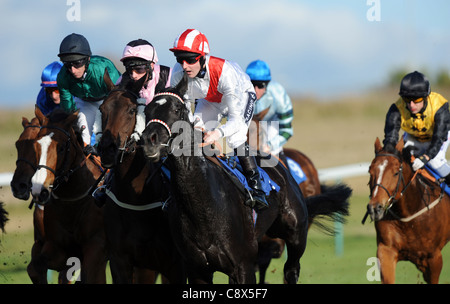 Rennpferde und Jockeys in Aktion während des Rennens Stockfoto