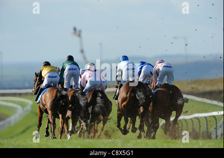 Rennpferde und Jockeys in Aktion während des Rennens Stockfoto