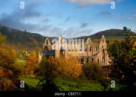 Tintern Abbey im Herbst in der Morgendämmerung mit frühen Morgennebel im Hintergrund Wye Valley Monmouthshire South Wales UK Stockfoto