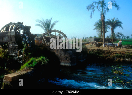 Traditionelle Norias oder Wasserrad bewässern Ackerland in der Oase von Al-Yourm in Ägypten Stockfoto