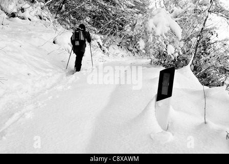 Wanderer, Spaziergänge im Schneewald Stockfoto