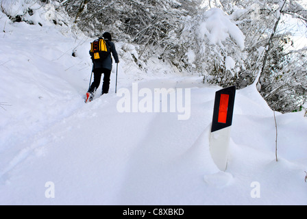 Wanderer, Spaziergänge im Schneewald Stockfoto