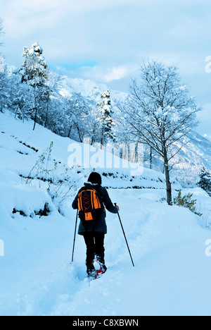 Wanderer, Spaziergänge im Schneewald Stockfoto