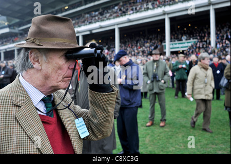 Älterer Mann beobachtete die Pferderennen in Cheltenham Festival. England Stockfoto