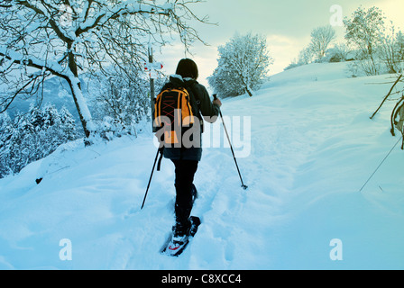 Wanderer, Spaziergänge im Schneewald Stockfoto