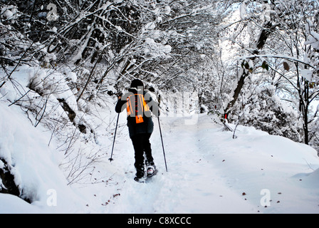 Wanderer, Spaziergänge im Schneewald Stockfoto