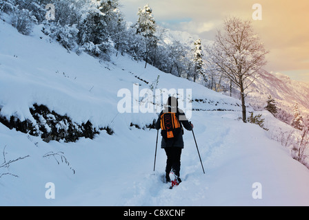 Wanderer, Spaziergänge im Schneewald Stockfoto