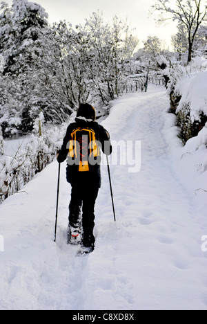 Wanderer, Spaziergänge im Schneewald Stockfoto