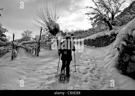 Wanderer, Spaziergänge im Schneewald Stockfoto