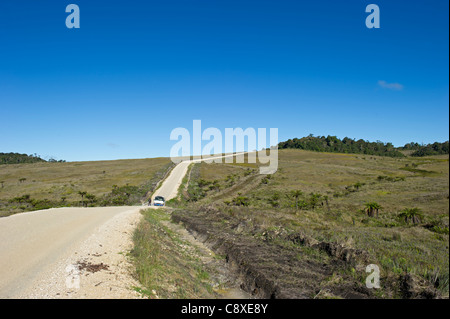 Alpine Rasen bei Tari Gap Southern Highlands-Papua-Neuguinea Stockfoto