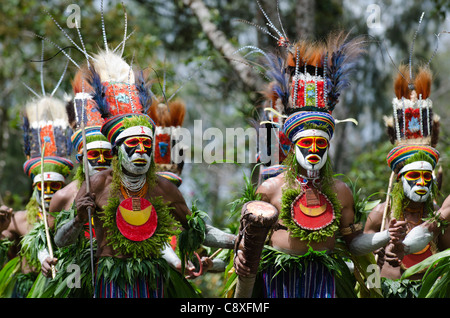 Stammes-Interpreten aus dem Anglimp Distrikt Waghi Provinz Western Highlands-Papua-Neuguinea Stockfoto