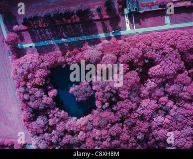 Falschfarbenbild Infrarot-Luftaufnahme von kleinen Wäldchen mit einem Natursee, rote Pflanzen, blaue Wasser Stockfoto