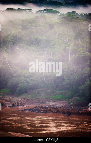 Blick über die Baumkronen des amazonischen Regenwaldes in der Morgendämmerung Tambopata Peru Stockfoto