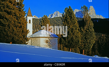 Regionalen Park Paneveggio-Pale di San Martino. Stockfoto