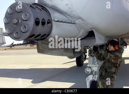 OSAN AIR BASE, Korea -- Senior Airman Andres L. Munoz inspiziert die gatling-Kanone einer A-10 Thunderbolt II während eines Endes der Landebahn Inspektion hier 3. März. Senior Airman Munoz ist ein Waffenspezialist mit dem 51. Flugzeugwartungsgeschwader. Stockfoto