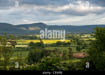 Blick über Vale of Cleveland an Carlton Bank aus Langbaurgh Ridge North Yorkshire England Stockfoto