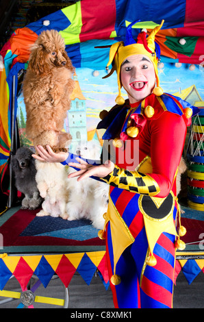 Breit lächelnder Harlekin Clown mit Hut ist Holding rote Pudel in seiner Hand. Stockfoto