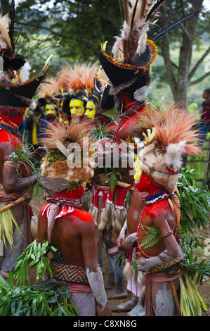 Huli Wigmen bei Paiya Show Sing-Sing im Hochland von Papua-Neu-Guinea Stockfoto