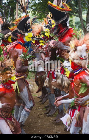 Huli Wigmen bei Paiya Show Sing-Sing im Hochland von Papua-Neu-Guinea Stockfoto