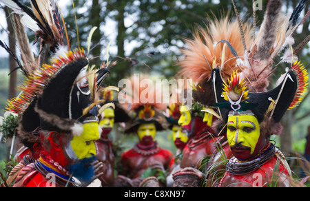 Huli Wigmen bei Paiya Show Sing-Sing im Hochland von Papua-Neu-Guinea Stockfoto