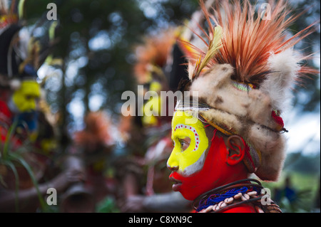 Huli Wigmen Dreseed in zeremoniellen Kopf Kleider der Paradiesvogel Federn und Schminken für Sing-Sing Tari Valley südlichen Stockfoto