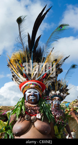 Stammes-Interpreten auf Mt Hagen in Papua-Neu-Guinea Paradiesvogel Federn im Kopf Kleider tragen Stockfoto
