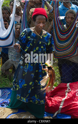 Dame im Markt mit männlichen Raggiana Bird Of Paradise zu verkaufen Mt Hagen Papua Neuguinea Stockfoto