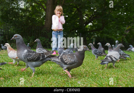 Junges Mädchen im Park Tonbridge, Kent Sommer wilde Tauben füttern Stockfoto