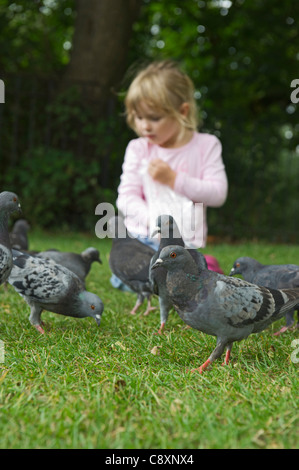 Junges Mädchen im Park Tonbridge, Kent Sommer wilde Tauben füttern Stockfoto