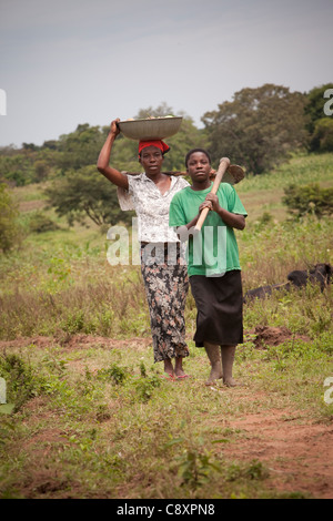 Junge Frauen bringen nach Hause eine Ernte von Süßkartoffeln aus der Familie Garten in Kibuku District, Uganda. Stockfoto