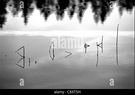 Nebligen Runen in Marienteich See, Harz. Stockfoto