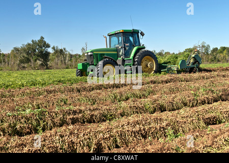 John Deere Traktor, Erdnuss Erdnuss Ernte invertierenden digger Stockfoto