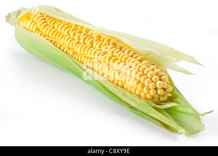 Mais auf weißem Hintergrund Stockfoto