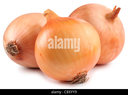 Drei Zwiebeln auf einem weißen Hintergrund. Datei enthält Pfad zu schneiden. Stockfoto