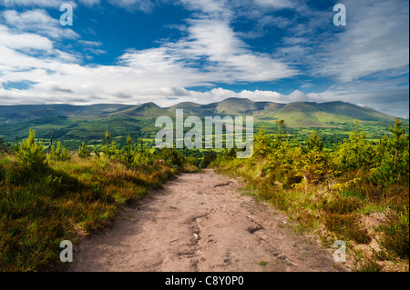 Blick auf die Galty Berge von Glen of Aherlow, County Tipperary, Irland Stockfoto