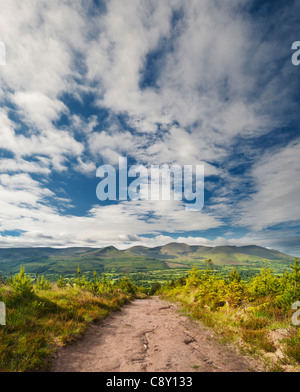 Blick auf die Galty Berge von Glen of Aherlow, County Tipperary, Irland Stockfoto