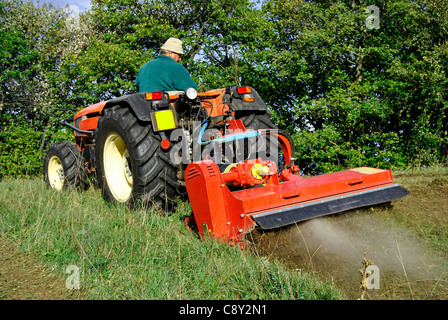 Kleiner Bauernhof Traktor Busch Beschlag auf einer Wiese in Trentino Alto Adige. Italien Stockfoto